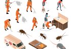 Termite Control Treatment Services Near Me | Professional & Affordable Solutions