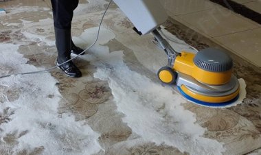 Why Carpet Cleaning for Commercial Spaces in Lakewood CO Is Important