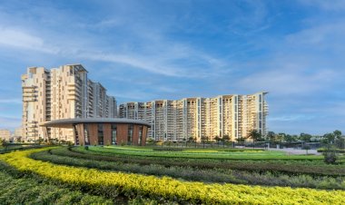 The Rise of Refined Living - Luxury Flats in Mohali that are Ready When You are
