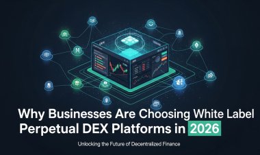 Why Businesses Are Choosing White Label Perpetual DEX Platforms in 2026