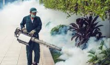 Mosquito Control Services in Lahore | Professional Mosquito Treatment