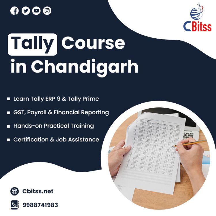 Build a Strong Career in Accounting and Financial Management