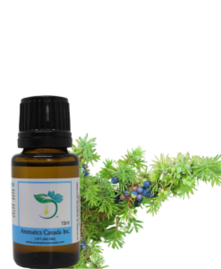 Top Benefits of Juniper Berry Essential Oil Explained