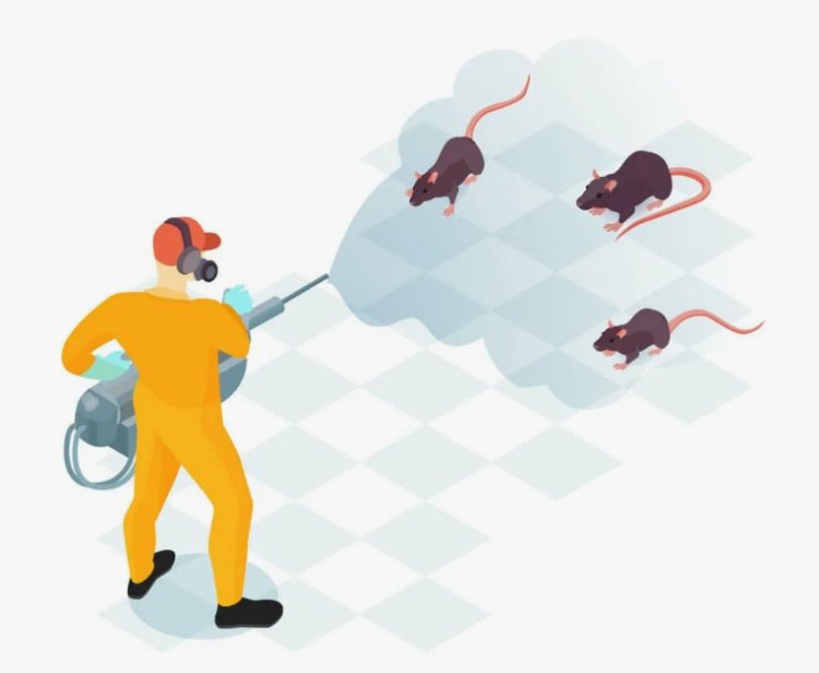 Rat Killer in Pakistan | Safe and Powerful Rodent Control Options