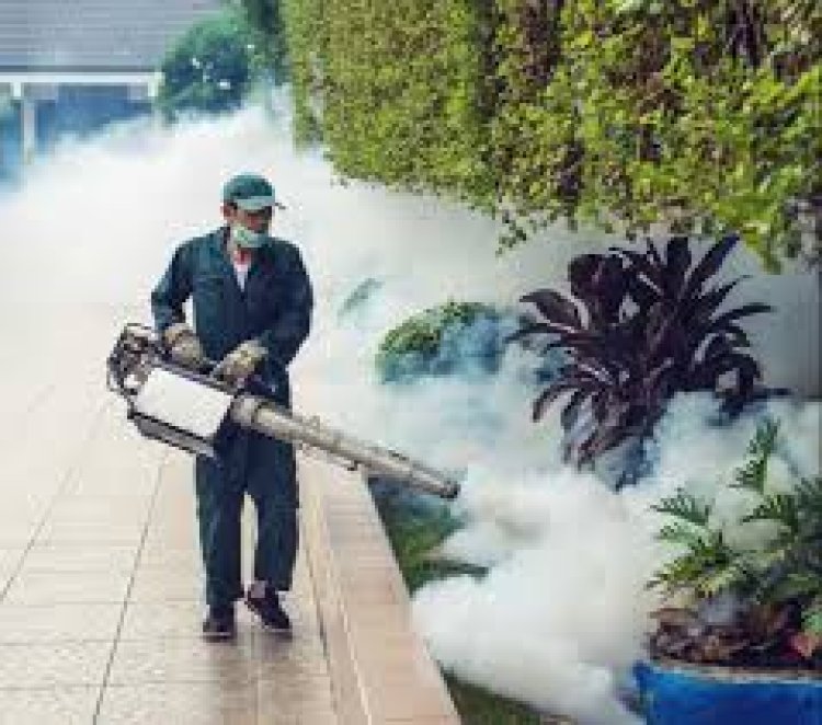 Mosquito Control Services in Lahore | Professional Mosquito Treatment
