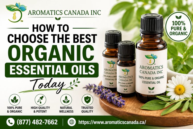 How to Choose the Best Organic Essential Oils Today