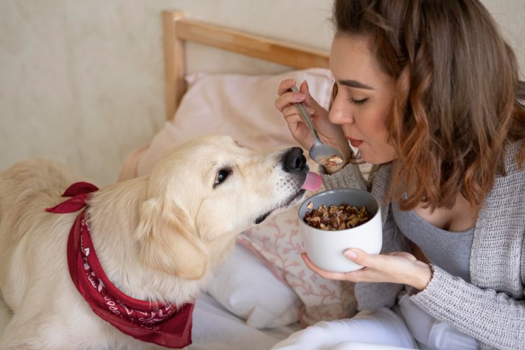 My Dog Has More Friends Than Me: The Rise of Pet Social Networking