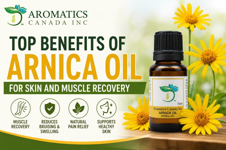 Top Benefits of Arnica Oil for Skin and Muscle Recovery