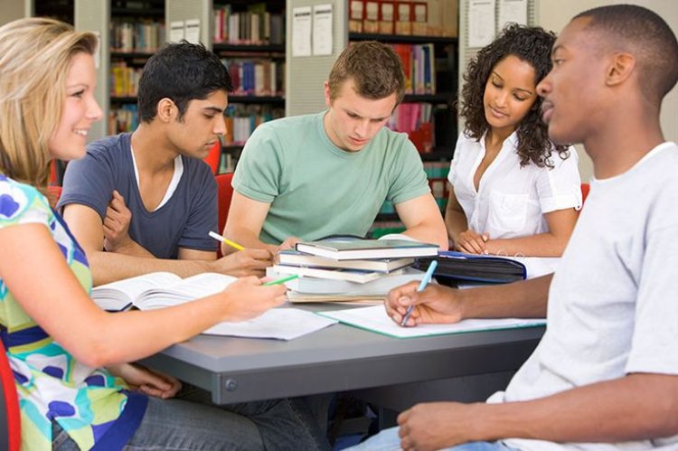 How Can Editorial Refinement Strengthen Academic Argumentation?