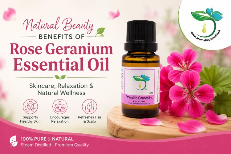 Natural Beauty Benefits of Rose Geranium Essential Oil
