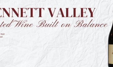 Zeka Vineyards Bennett Valley AVA Pinot Noir: A Top-Rated Wine Built on Balance
