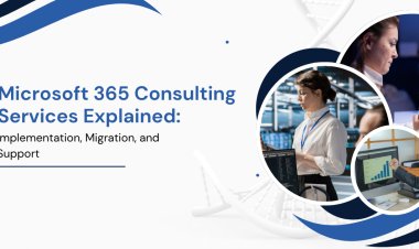Microsoft 365 Consulting Services Explained: Implementation, Migration, and Support