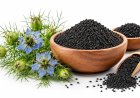 Nigella Seeds Manufacturers for Consistent Batch Quality