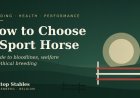 How to Choose a Sport Horse: A Guide to Breeding Health and Performance
