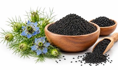 Nigella Seeds Manufacturers for Consistent Batch Quality