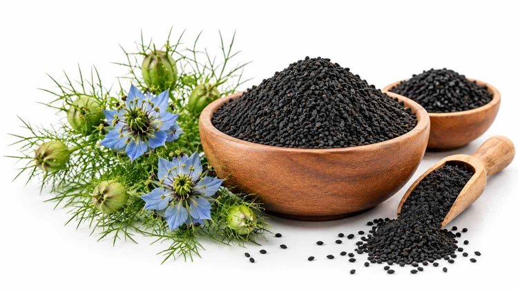 Nigella Seeds Manufacturers for Consistent Batch Quality