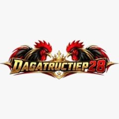 dagatructiep28