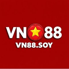 vn88soy