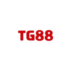 tg88voto