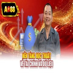 ceoao88nguyenducanh