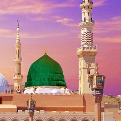 royaltawaf
