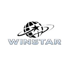 Elegant V Neck Satin Dress for Special Occasions | Winstar Marketing