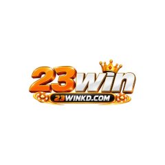 23Winkdcom1